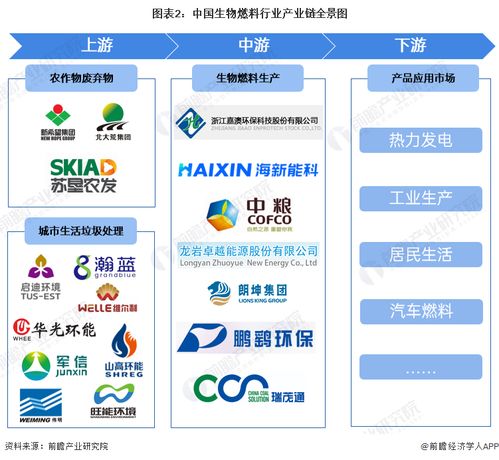 生物燃料行業產業鏈全景梳理及海口軟件開發機遇